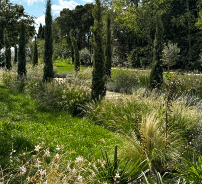 entreprise pisciniste paysagiste toulouse
