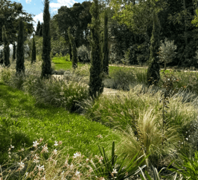 entreprise pisciniste paysagiste blagnac