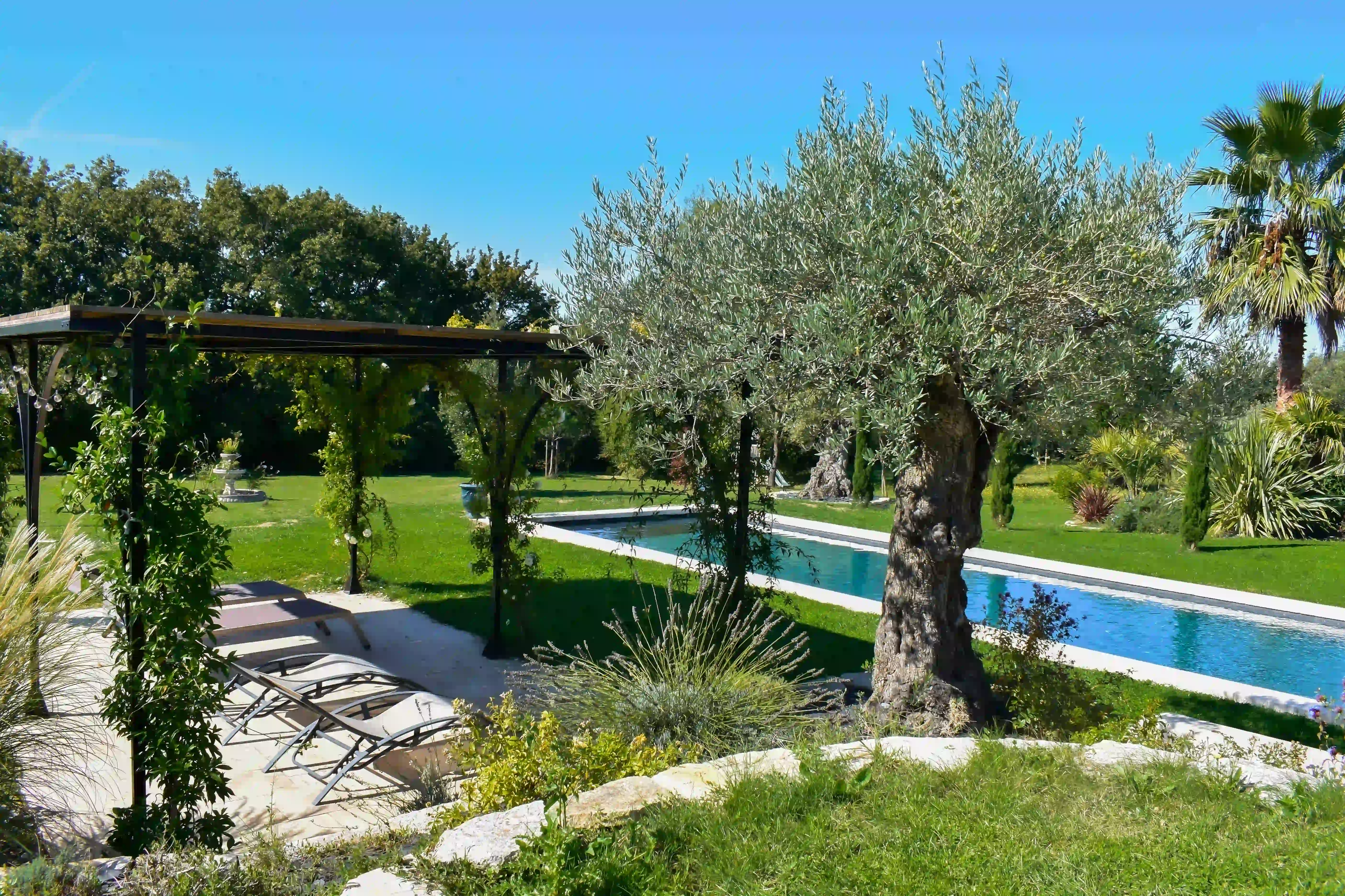 Pergola et piscine de côté
