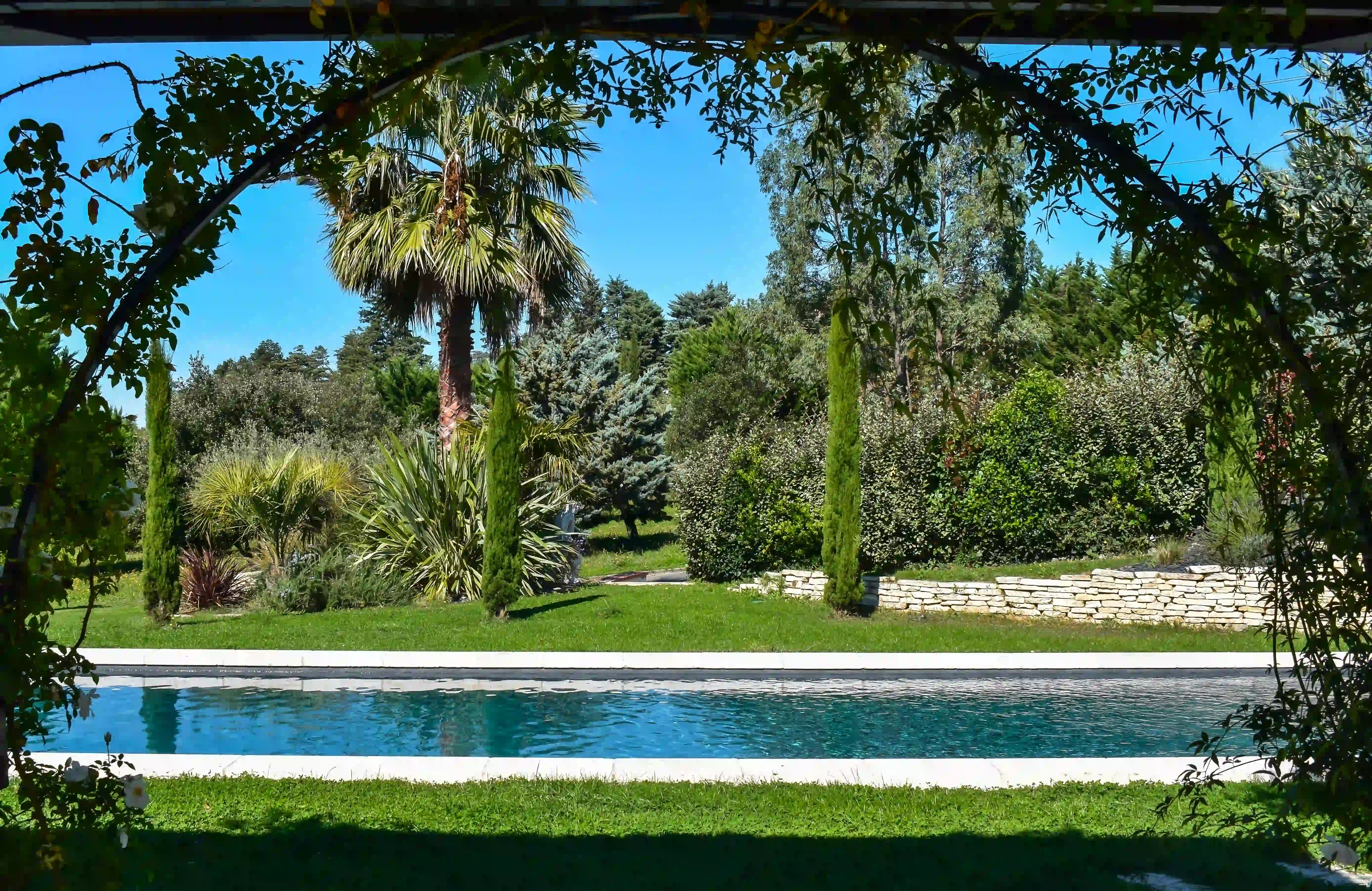 Piscine sous pergola