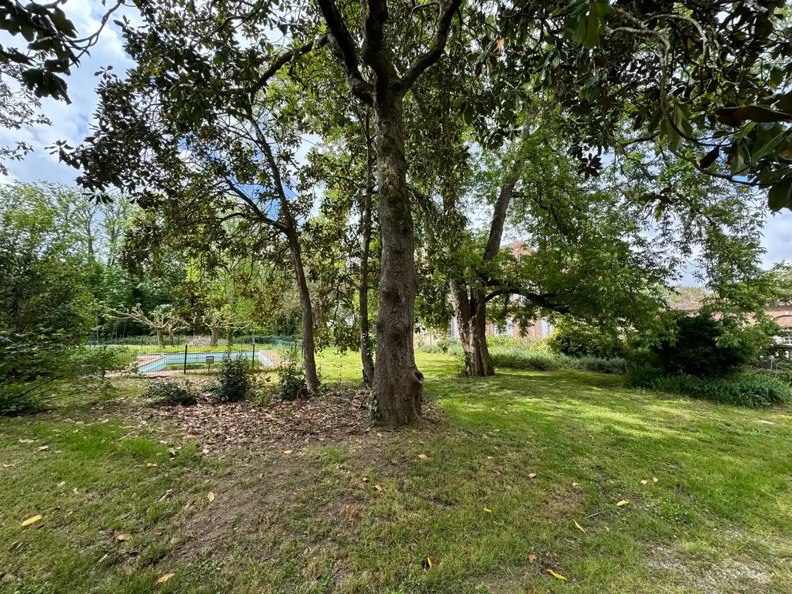construction piscine couloir de nage
