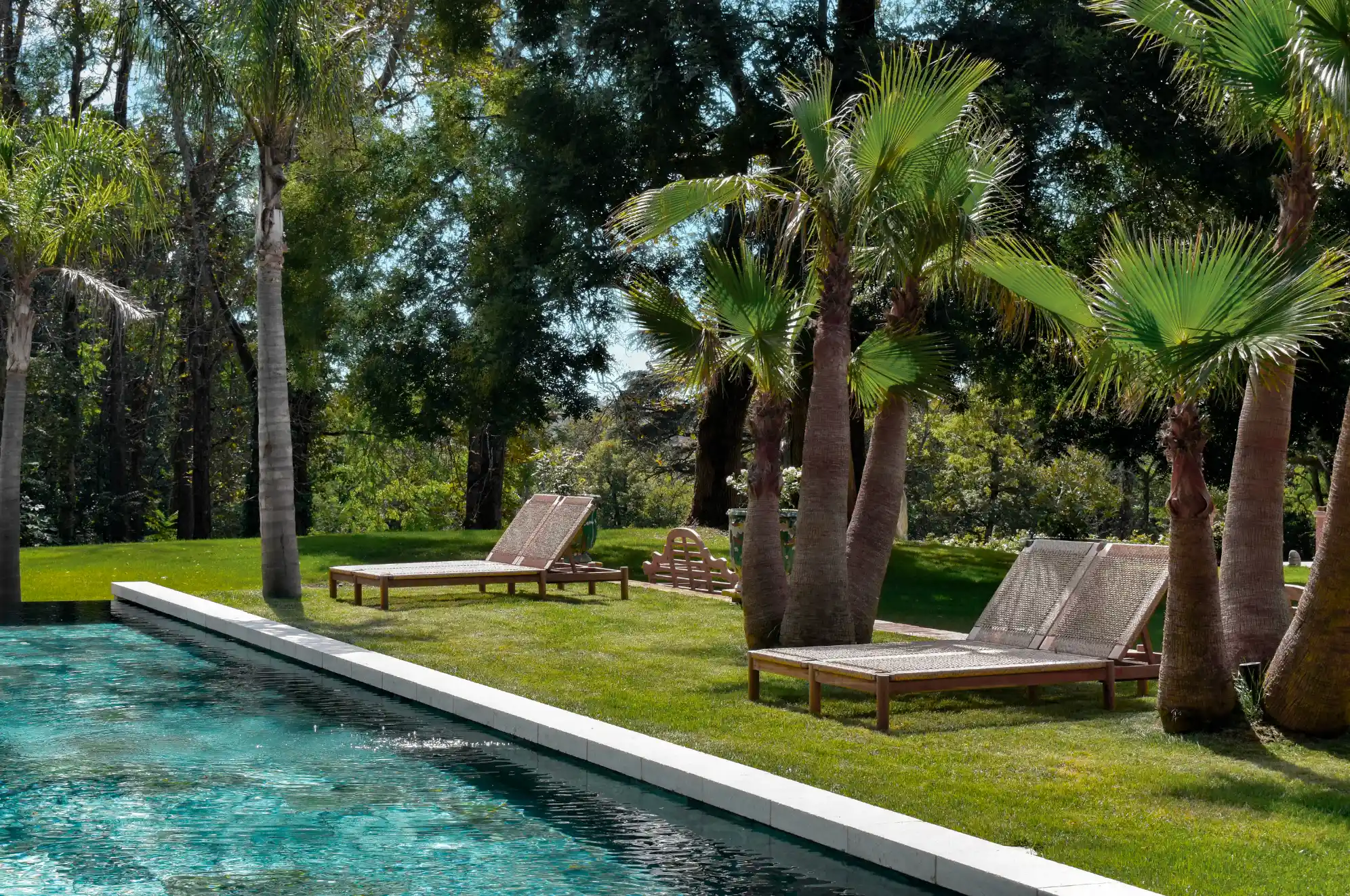 création piscine couloir de nage toulouse