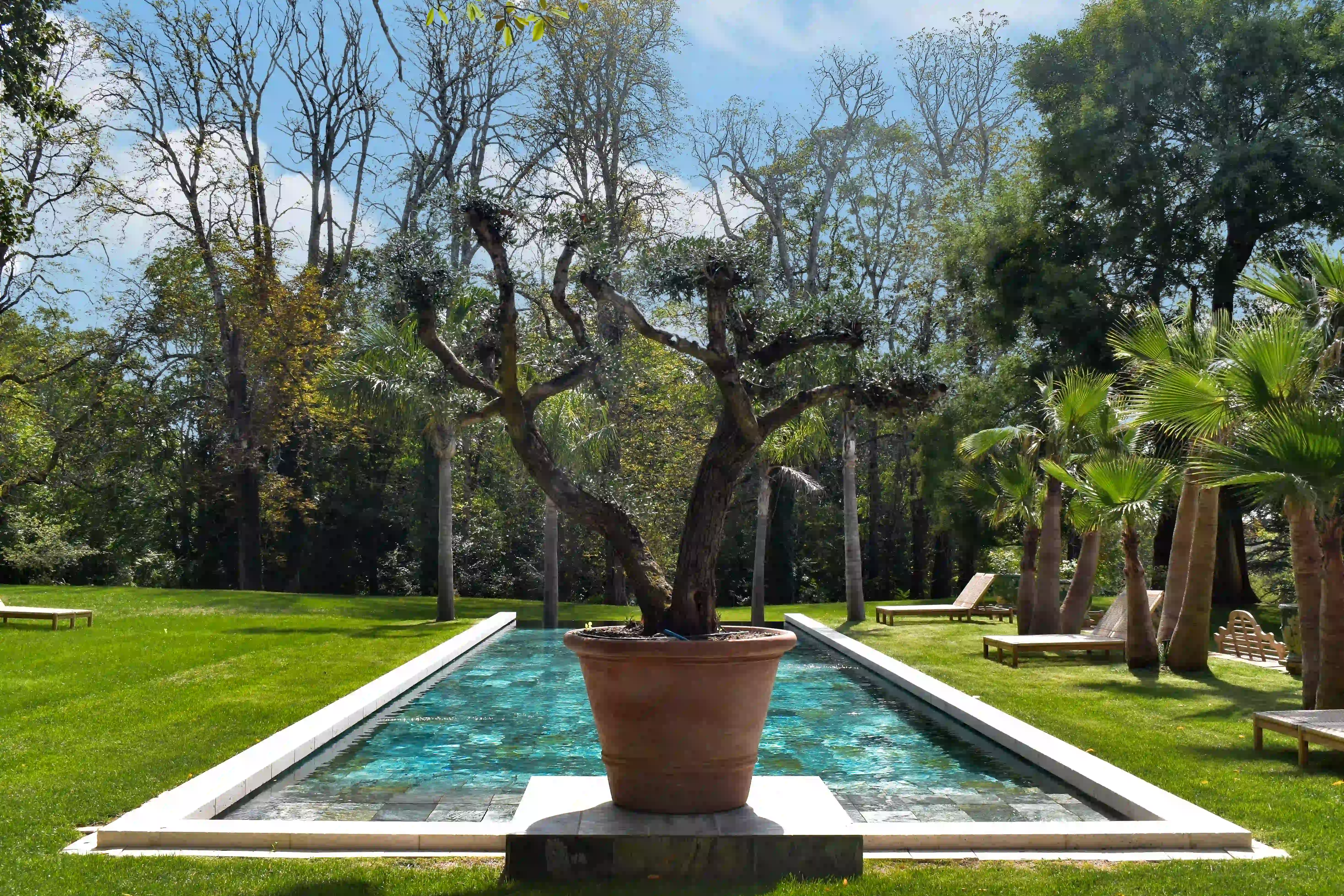 piscine couloir de nage toulouse