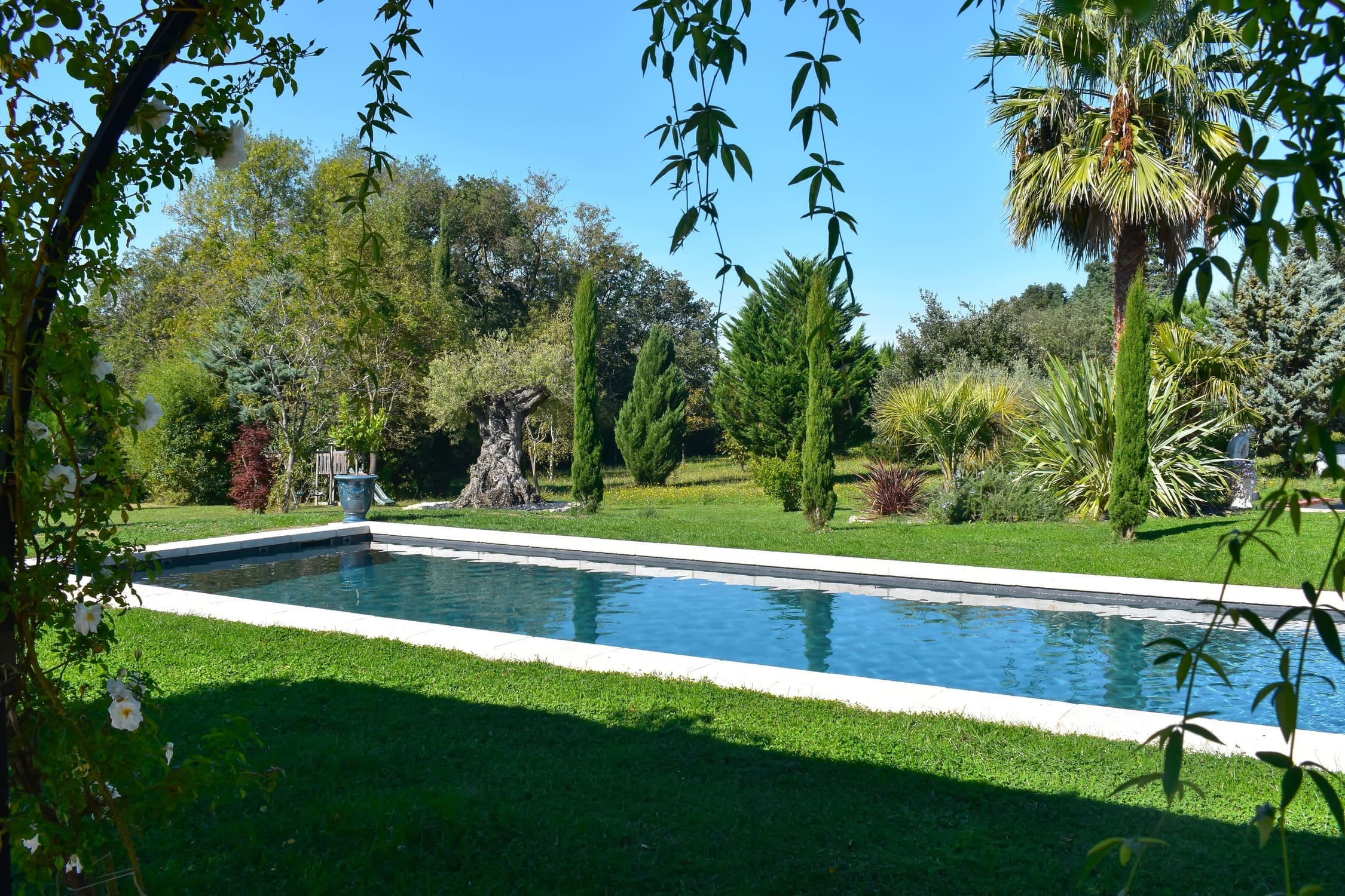 pisciniste labege construction rénovation piscine