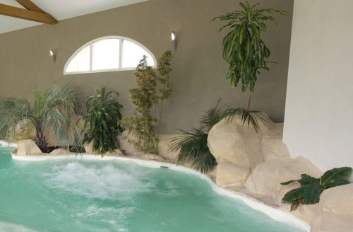 construction piscine lagon intérieur toulouse 31 haute garonne construction piscine lagon intérieur toulouse 31 haute garonne